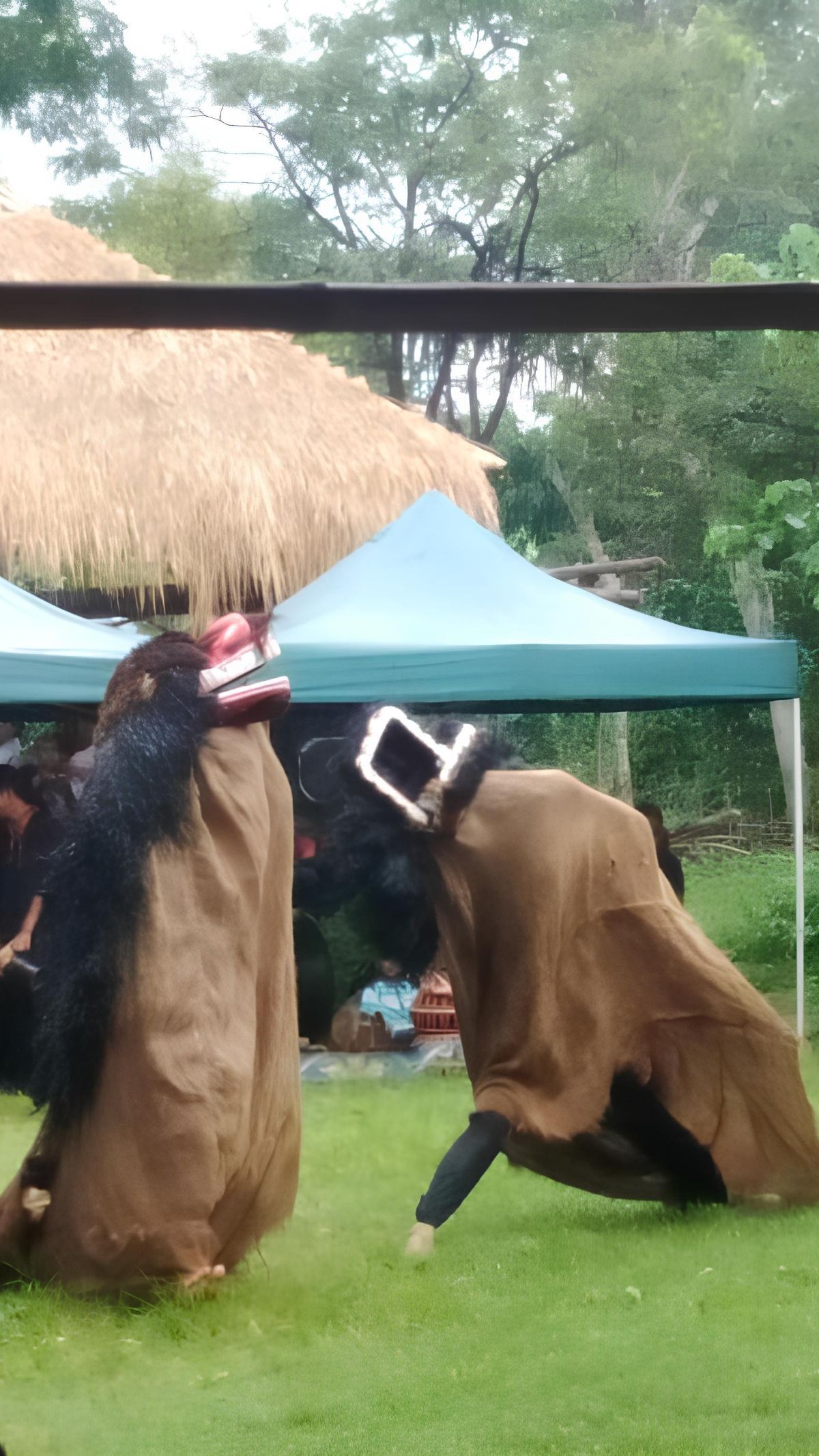 Serunya Menonton Reak di Desa Wisata Cinunuk Bandung, Tempat Belajar Budaya Sunda yang Mengasyikkan