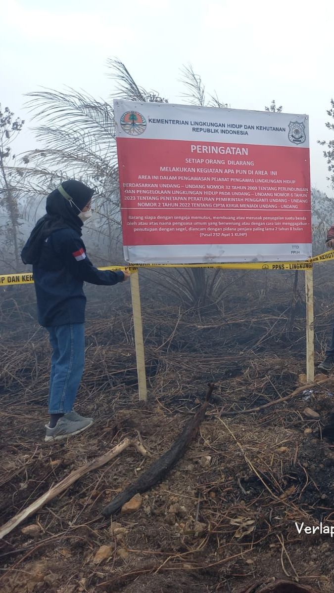 6 Lokasi Karhutla di Sumsel Disegel, 5 di Antaranya Milik Perusahaan