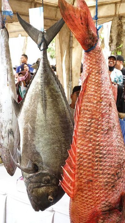 Ratusan Pemancing dari Berbagai Negara Adu Skill di Grajagan Fishing Festival Banyuwangi