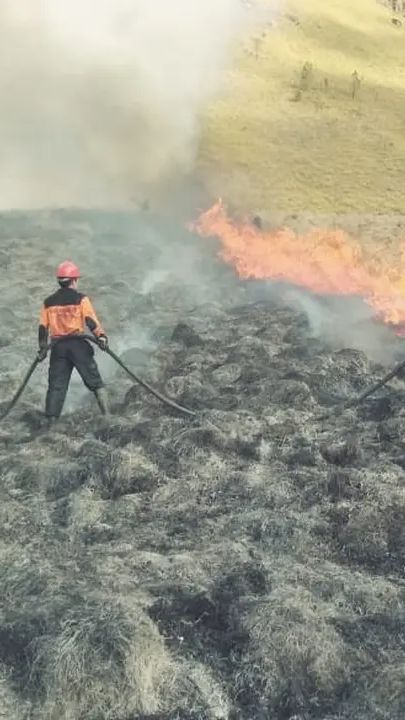 Potret Terbaru Kawasan Bromo Kebakaran, Sebagian Objek Wisata Ditutup