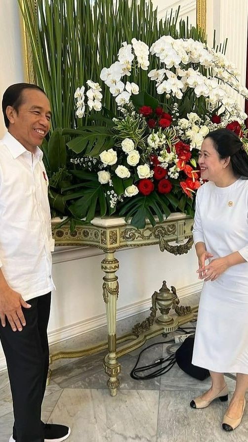 Bertemu Jokowi di Istana, Puan Maharani: Kira-kira Ngobrolin Apa Ya?