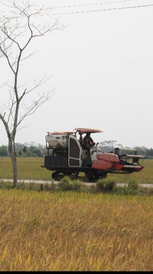 DPR Tengok Lokasi Food Estate di Kalteng, Ini Sederet Temuan dan PR untuk Pemerintah