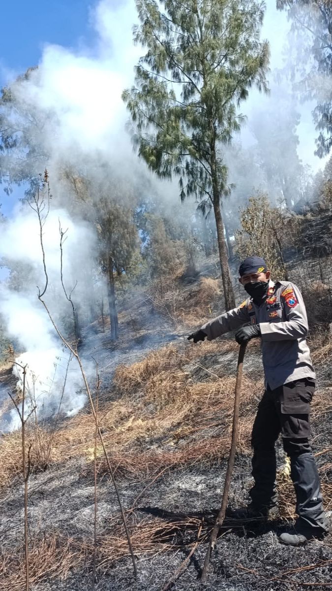 Karhutla di Gunung Arjuno Meluas, Tim Pemadam Kesulitan Hadapi Medan Terjal