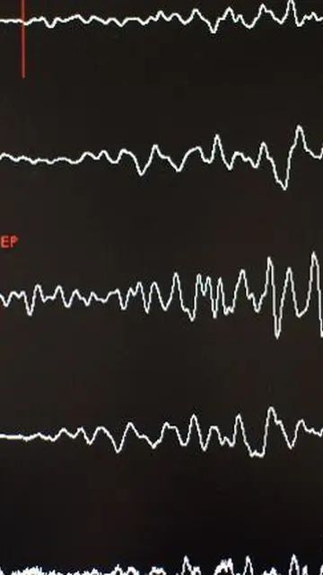 Gempa Magnitudo 6,3 Guncang Pegunungan Bintang Papua