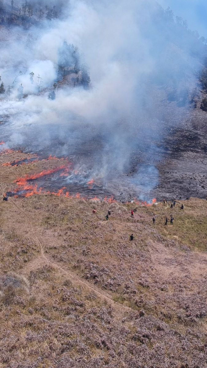 Bukit Teletubbies Terbakar Gara-Gara Flare Sesi Foto Prewedding, Wisata Gunung Bromo Ditutup Total