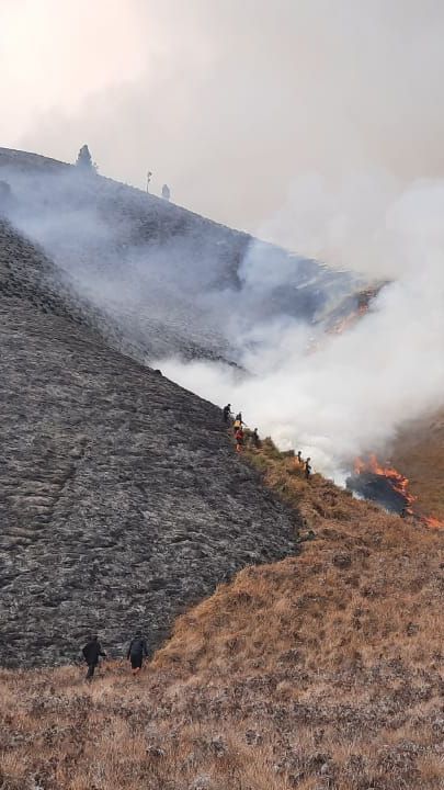 Kebakaran Bukit Teletubbies Bromo Diduga Akibat Flare Prewed, Manajer Wedding Organizer jadi Tersangka