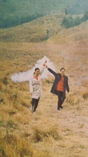 Potret Bukit Teletubbies Bromo Sebelum dan Sesudah Kebakaran Akibat Sejoli Prewedding Pakai Flare