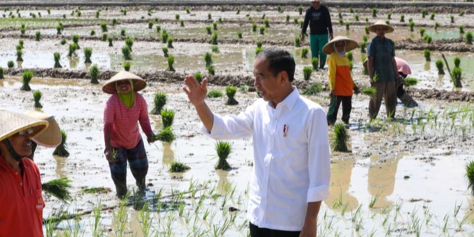 Alokasi Pupuk Subsidi Ditambah, Merauke Disiapkan Jadi Lumbung Pangan Nasional