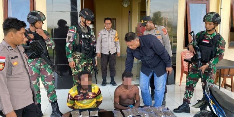 Polisi Ringkus Pemilik 35 Paket Ganja Kering di Jayapura