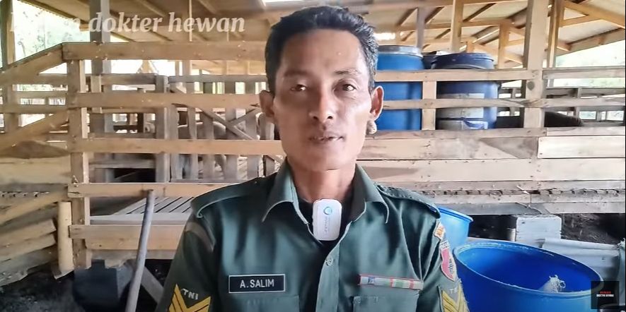 Kisah Sukses Serma Agus Salim, Berternak Domba 100 Ekor Untung Berlimpah