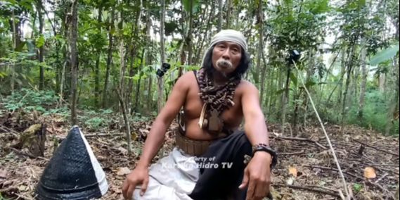 Tak Disangka, Suku Dayak Losarang Ini Miliki Sawah Hektaran Setiap Panen 7 Ton