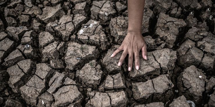 Potret 75 Desa di Pamekasan Darurat Kekeringan, Warga Harus Tempuh Jarak Tiga Kilometer untuk Dapatkan Air Bersih