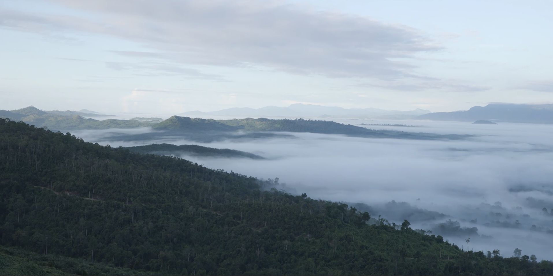 Menikmati Sensasi Gumpalan Awan di Gunung Embun, Pesona Hutan Mangrove Hingga Museum Sadurengas