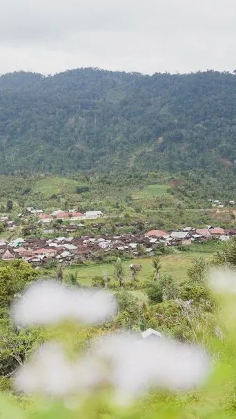 Ada Fosil Berusia Ratusan Juta Tahun, Ini Pesona Geopark Merangin di Jambi