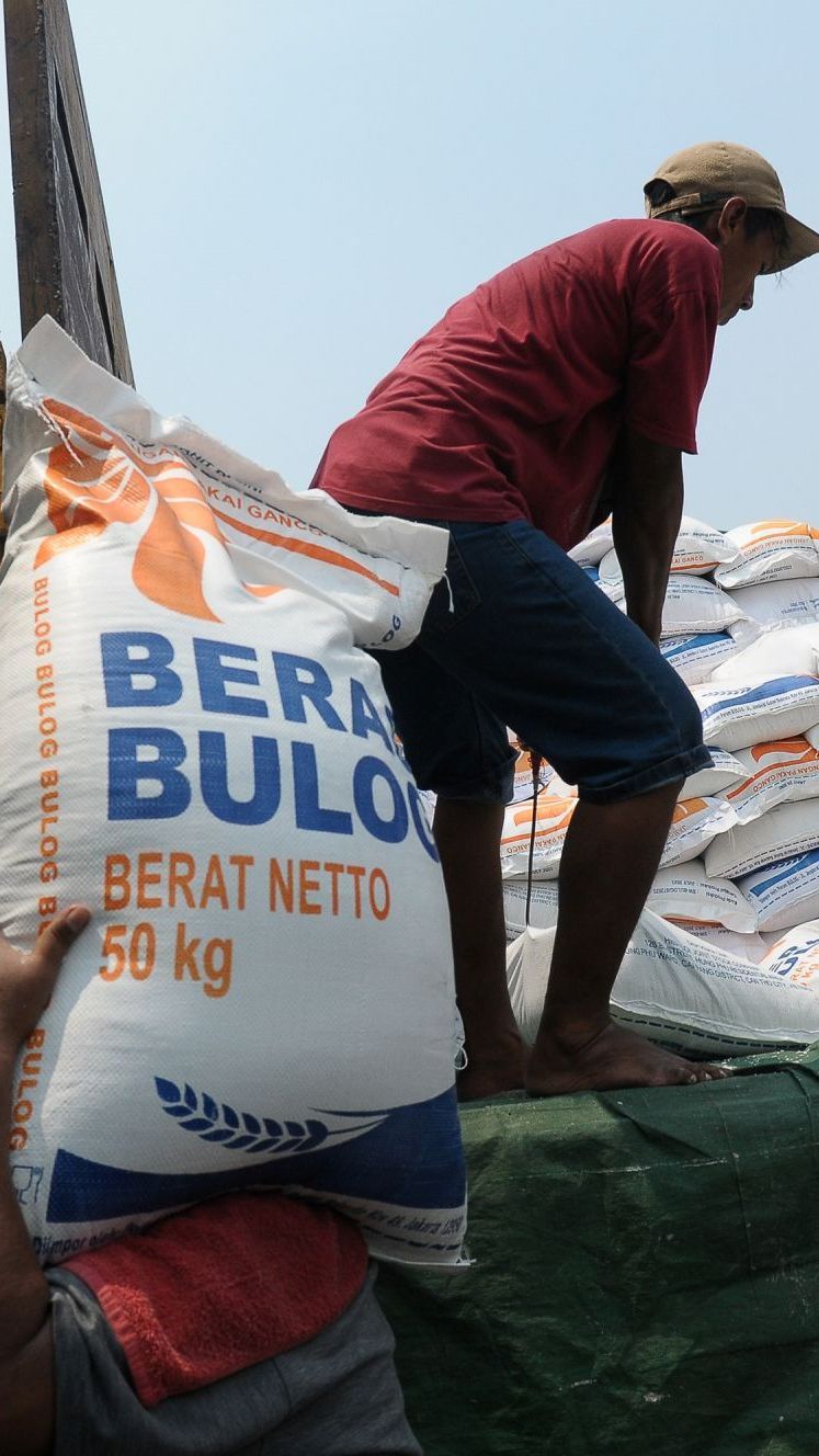 Bulog Tegaskan Tak Ada Motif Politik Di Balik Penyaluran Bansos Beras 10 Kg: Ini Program Negara