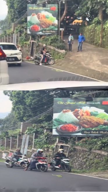 Viral Penampakan Ular Hijau Bikin Macet Jalan, Pemotor Takut Mau Lewat