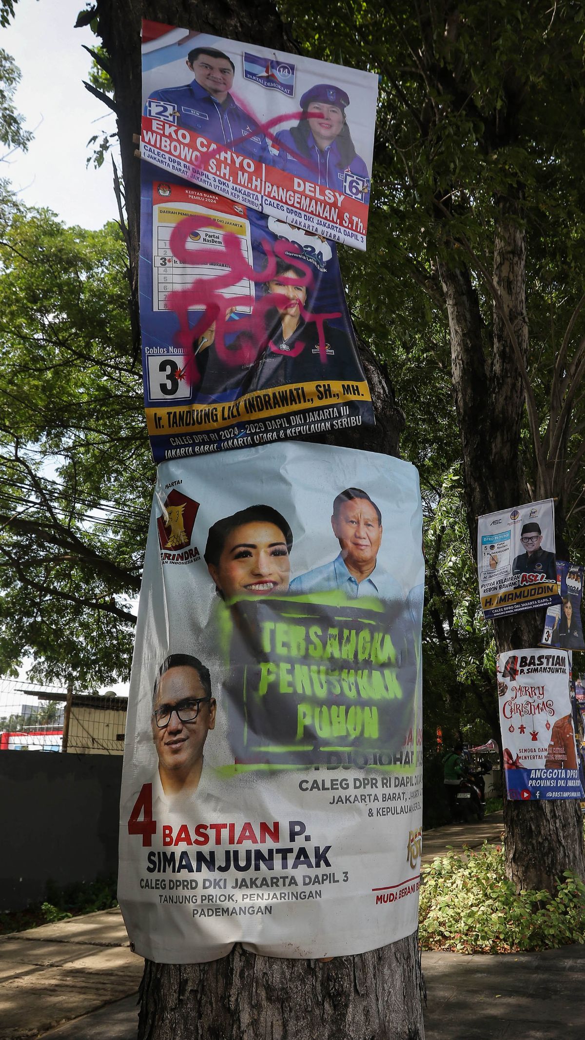 FOTO: Viral Poster-Poster Caleg Dilabeli 'Tersangka Penusukan Pohon', Ini Penampakannya