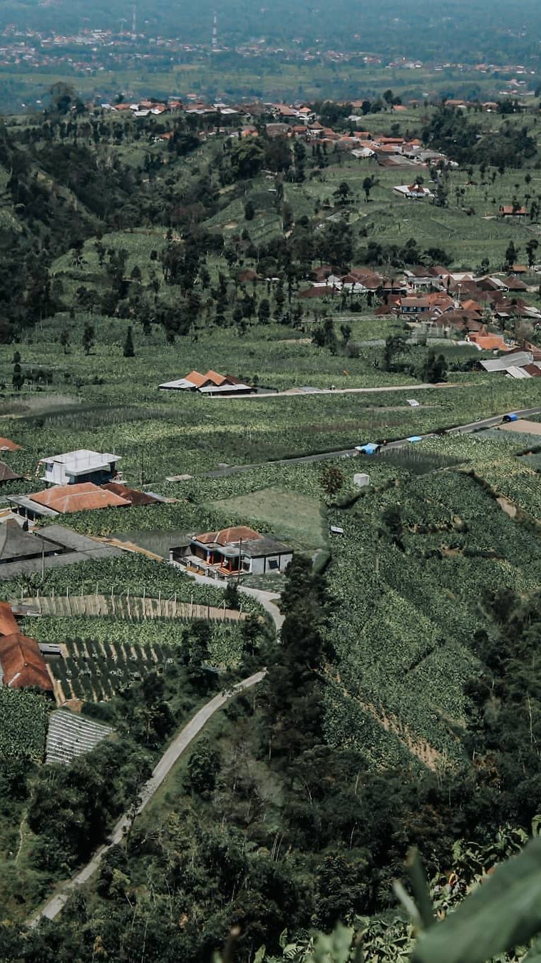 Berada di Kaki Gunung Merbabu, Begini Serunya Bermain Paralayang di Desa Wisata Tarubatang