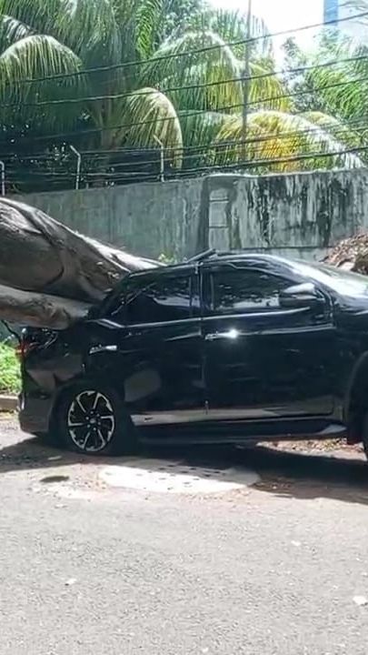 Ada Pohon Tumbang di Dekat Rumah Prabowo, Fortuner Ringsek