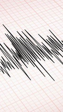 Gempa Bumi 3,6 Magnitudo Guncang Karangasem Bali