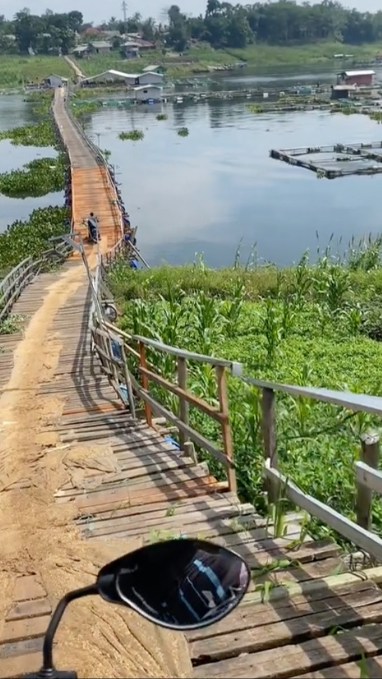 Viral Momen Suami Istri Lewati Jembatan Kayu, Warganet Ikut Deg-degan