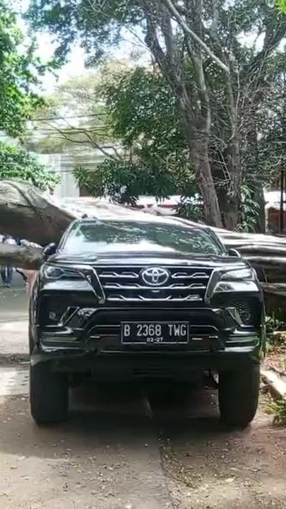 Ada Pohon Tumbang Dekat Rumah Prabowo, Pertanda Ini yang Ditangkap Sekjen PDIP Hasto