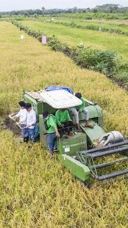 Dekan Pertanian Unbraw Berikan Tanggapan Seputar Kesalahpahaman Terkait Kebijakan Food Estate