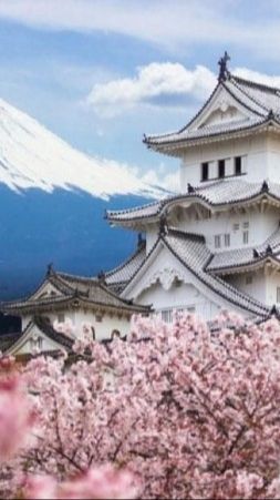 Selamat Pagi Bahasa Jepang dan Artinya yang Penuh Makna