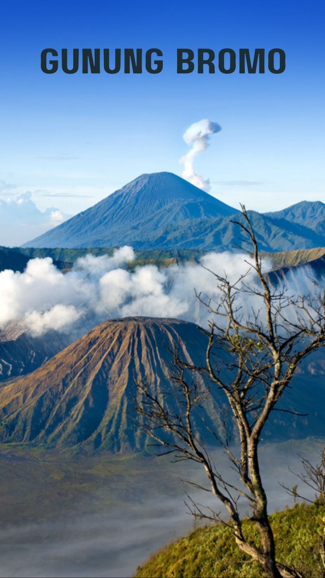 7 Wisata Malang yang Menakjubkan, Wajib Dikunjungi