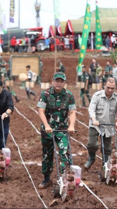 Berseragam Lengkap, Potret Kasad Jenderal Maruli Simanjuntak Terjun Langsung Bajak Tanah yang Tak Produktif