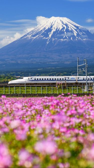 Dampak Gempa Jepang: 32.500 Rumah Mati Listrik & Kereta Cepat Shinkansen Berhenti Beroperasi