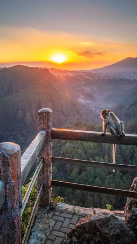 Wisata di Bandung yang Indah dan Menarik, Cocok jadi Tujuan Pelepas Penat