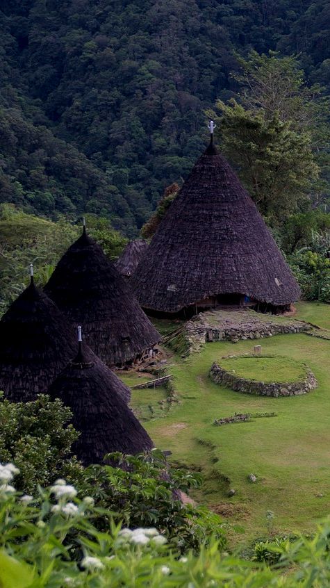 Kampung Wisata Unik di Indonesia, Destinasi Liburan Seru dan Menarik