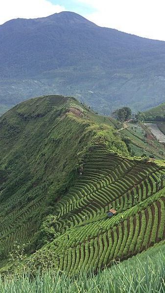 6 Wisata Majalengka yang Indah dan Memesona, Wajib Dikunjungi