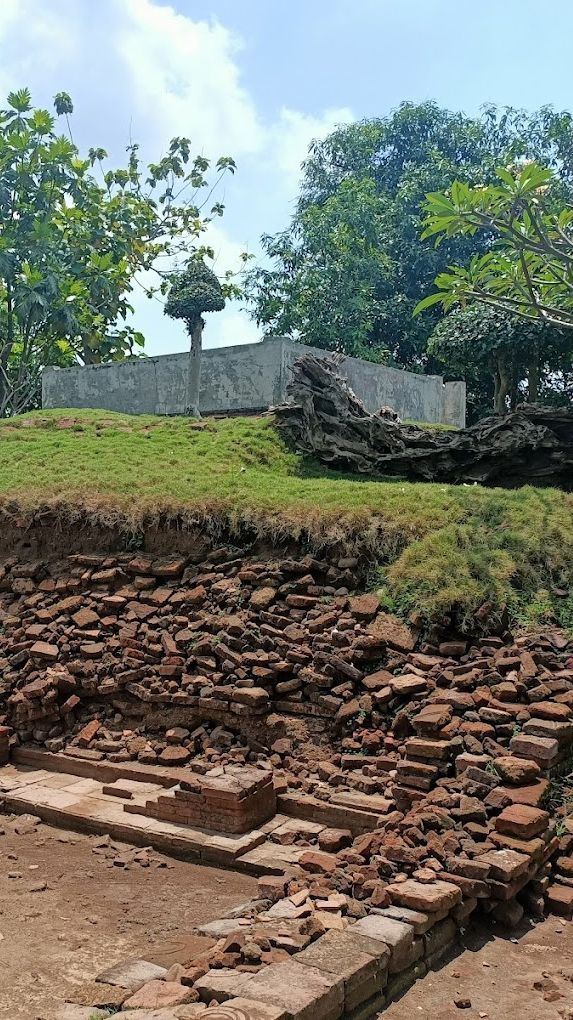 Potret Candi Wates Umpak, Permukiman Elite pada Masa Jawa Kuno Kini Dikelilingi Sawah