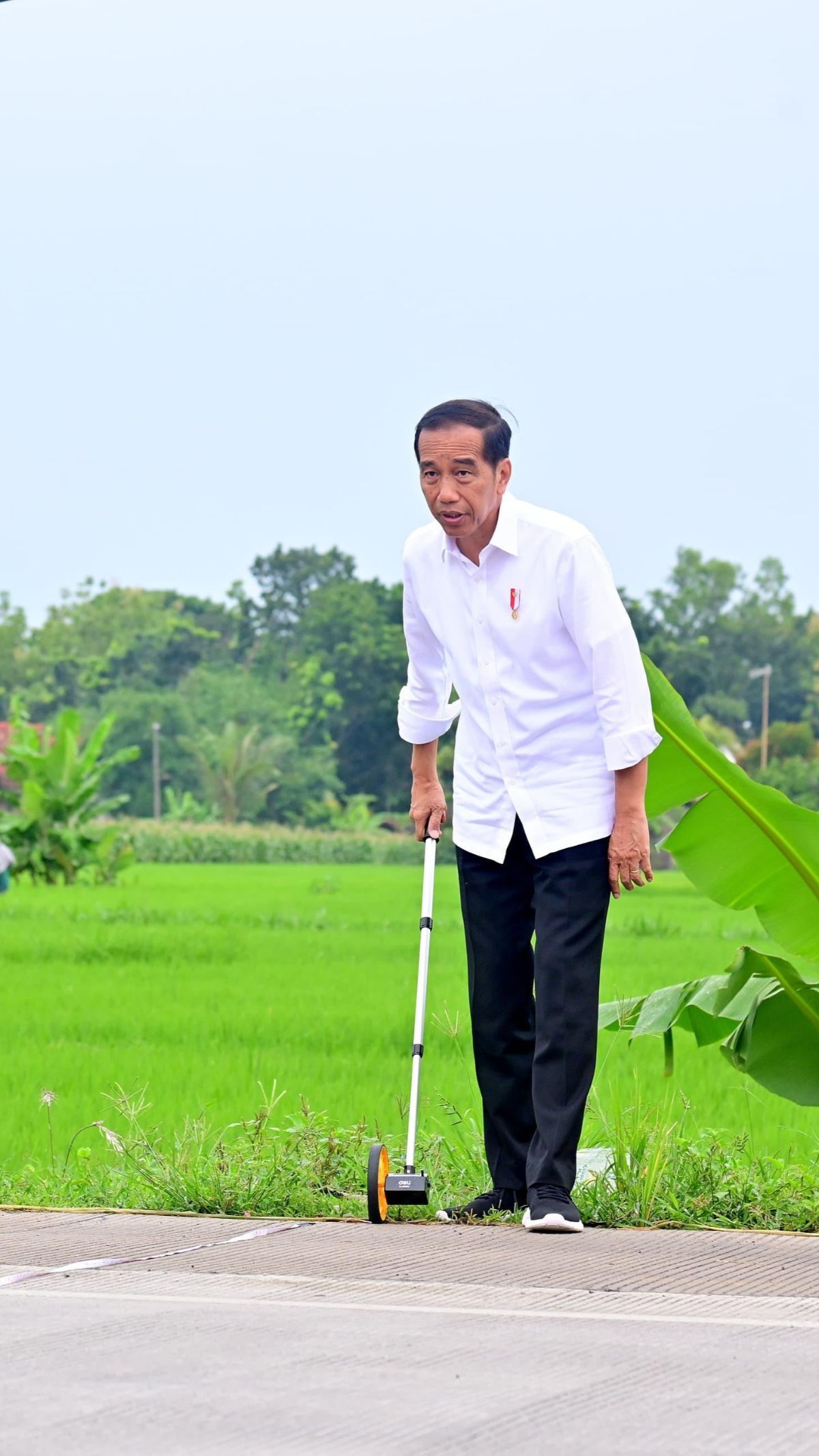 Jokowi: Dampak Perubahan Iklim Nyata, Imbasnya Kerugian Gagal Panen