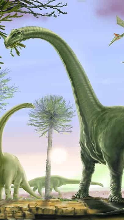 Spesies Baru dari Dinosaurus Sauropod Telah Ditemukan di Argentina