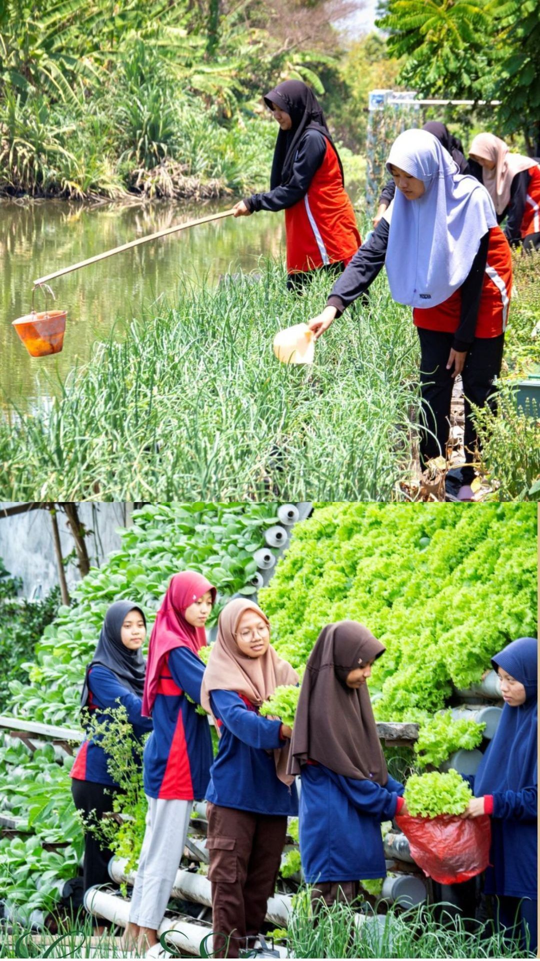 Mengenal Pomosda Nganjuk, Pesantren Modern Tertua di Indonesia yang Punya Program Ngaji Tani