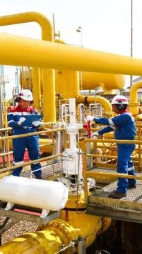 PGN Pasok Gas Alam ke Pabrik Mayora, Minimal 8.000 MMBTU/Bulan