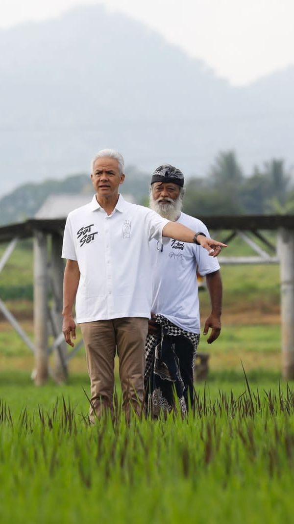 Kreatif! Seniman Pari Corek Semarang Bikin Gambar Ganjar-Mahfud di Sawah, Begini Penampakannya