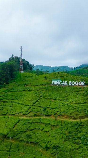 Wisata Puncak Bogor Populer, Seru dengan Pemandangan yang Indah