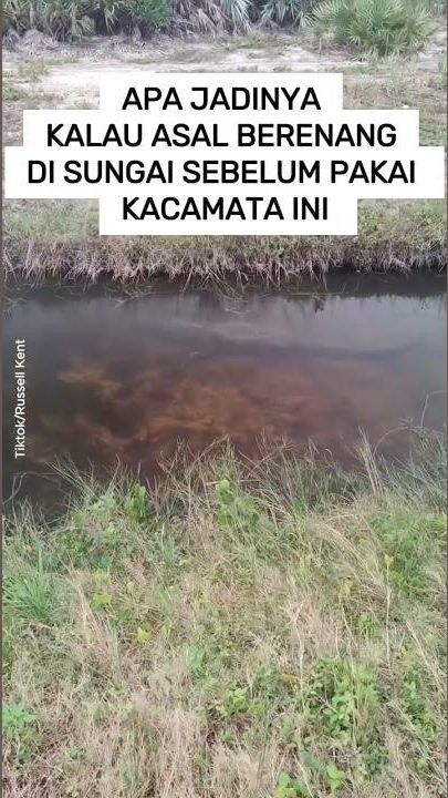 VIDEO: Apa Jadinya Kalau Asal Berenang di Sungai Sebelum Pakai Kacamata Ini