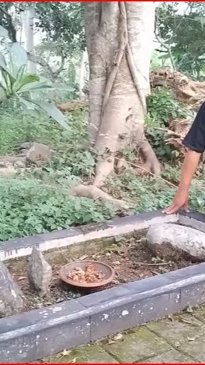 Terdapat Makam Pejabat Penting Era Hindu-Buddha, Begini Kisah Makam Ledek di Kota Salatiga