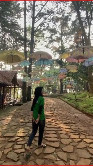 Asyiknya Berwisata ke Hutan Pinus Kudus, Punya Banyak Wahana Wisata dan Hiburan