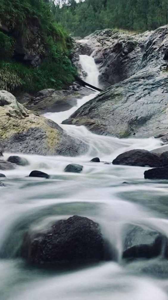 Tak Kalah Indah dari Kawah Ijen, Intip Pesona Sungai Kalipait Bondowoso Mengalir Membelah Hutan dan Tebing Batu