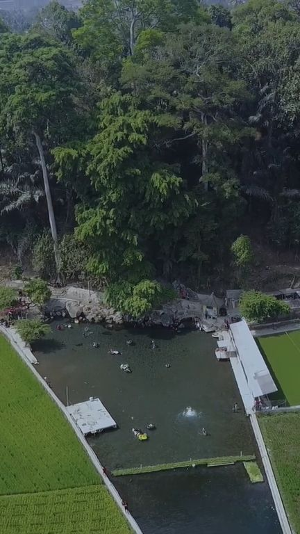 Sensasi Unik Berenang di Mata Air Cikandung Sumedang, Kolamnya Jernih dan Ada di Tengah Sawah