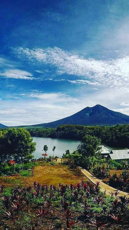 Berada di 14 Kabupaten dan 2 Kota, Ini Pesona Taman Nasional Kerinci Seblat