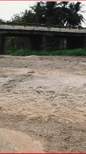 Melihat Keunikan Geosite Kali Ngalang di Gunungkidul, Bekas Pantai Purba yang Tersembunyi di Bawah Jembatan