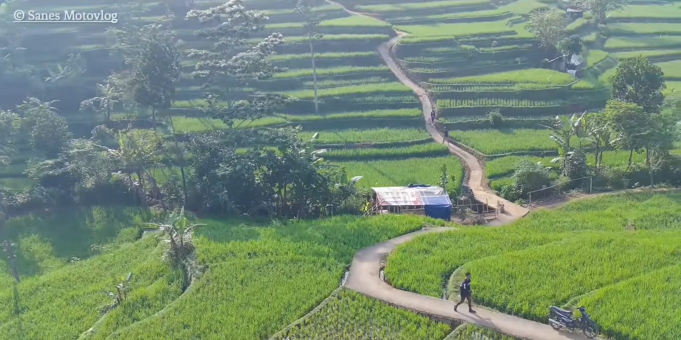 Viral Pemandangan Sawah Cisema Banjaran di Bandung, Intip Keindahannya yang Mirip Lukisan