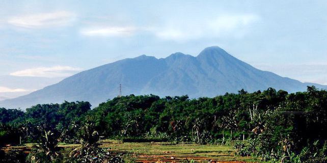 Daya Tarik Gunung Halimun, Tempat Favorit Raja Prabu Siliwangi yang Menyimpan Keindahan Mirip Surga Dunia